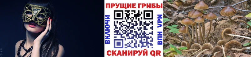 Галлюциногенные грибы мицелий  Анадырь 